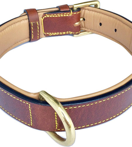 - Luxury Real Leather Padded Dog Collar