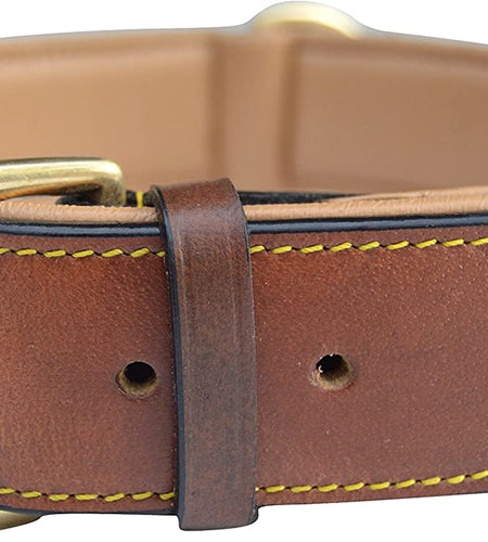- Luxury Real Leather Padded Dog Collar